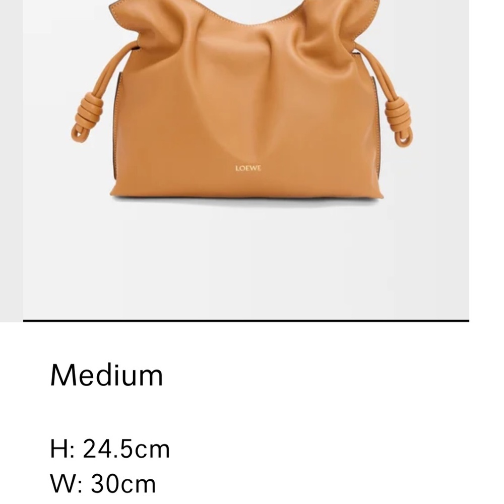 Loewe Medium Flamenco Bag Brand New Box Included - Picture 12 of 13